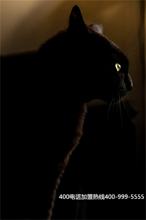 撫州申請400電話（辦理400電話需要多少錢）