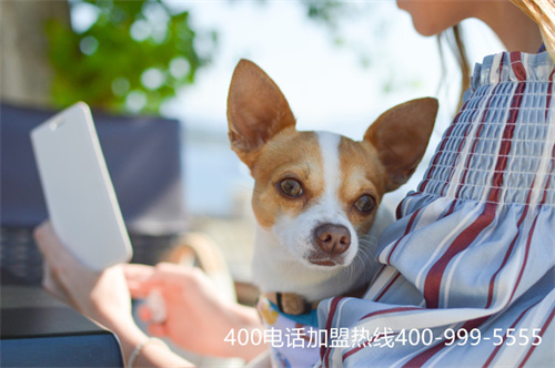 怎么成為400電話(huà)代理商(400電話(huà)代理好做嗎) 怎么成為400電話(huà)代理商(400電話(huà)代理好做嗎)